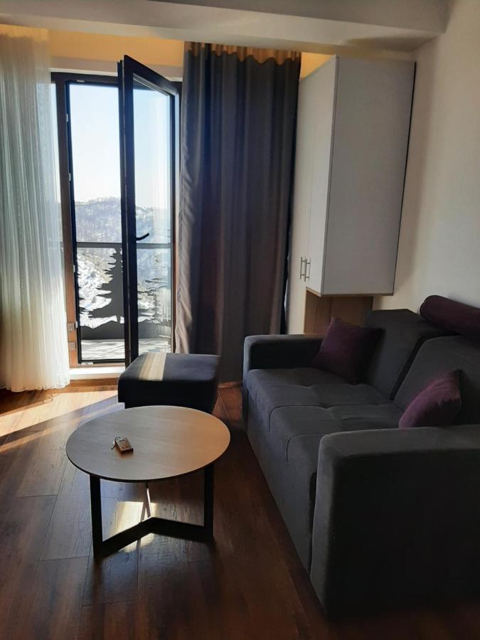 Vihor A21 Apartamento Kopaonik Exterior foto